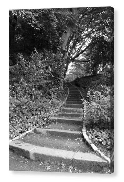 Black and white portrait photograph showing a long flight of stone steps leading up through woodland.  The image is shown printed upon a box canvas.