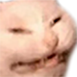 :AngeryCat: :AngeryCat: