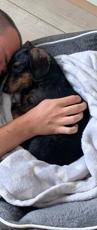 Dachshund sleeping next to male human 