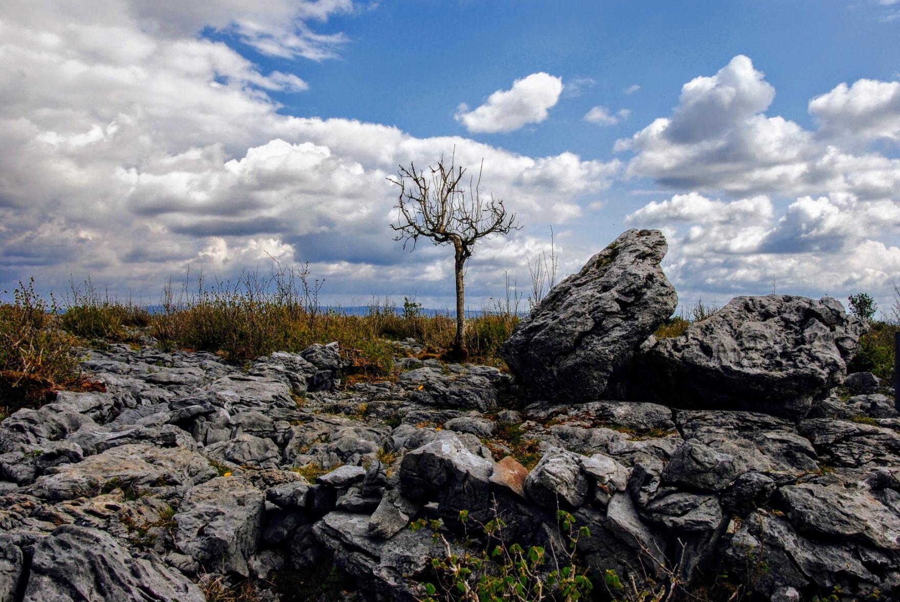 A landscape with stones and boulders in the foreground under a blue sky with a blanket of white clouds rising from behind. A small bare tree stands alone in the centre of the picture. The horizon with a range of hills lying in a blue haze can be seen in the distance behind it.
Eine Landschaft mit Steinen und Felsbrocken im Vordergrund unter einem blauen Himmel mit einer von hinten aufkommenden weißen Wolkendecke. Etwa in der Mitte des Bildes steht einsam ein kleiner kahler Baum. Ganz entfernt ist dahinter der Horizont mit einer im blauen Dunst liegenden Hügelkette zu sehen. A landscape with stones and boulders in the foreground under a blue sky with a blanket of white clouds rising from behind. A small bare tree stands alone in the centre of the picture. The horizon with a range of hills lying in a blue haze can be seen in the distance behind it.
Eine Landschaft mit Steinen und Felsbrocken im Vordergrund unter einem blauen Himmel mit einer von hinten aufkommenden weißen Wolkendecke. Etwa in der Mitte des Bildes steht einsam ein kleiner kahler Baum. Ganz entfernt ist dahinter der Horizont mit einer im blauen Dunst liegenden Hügelkette zu sehen.
