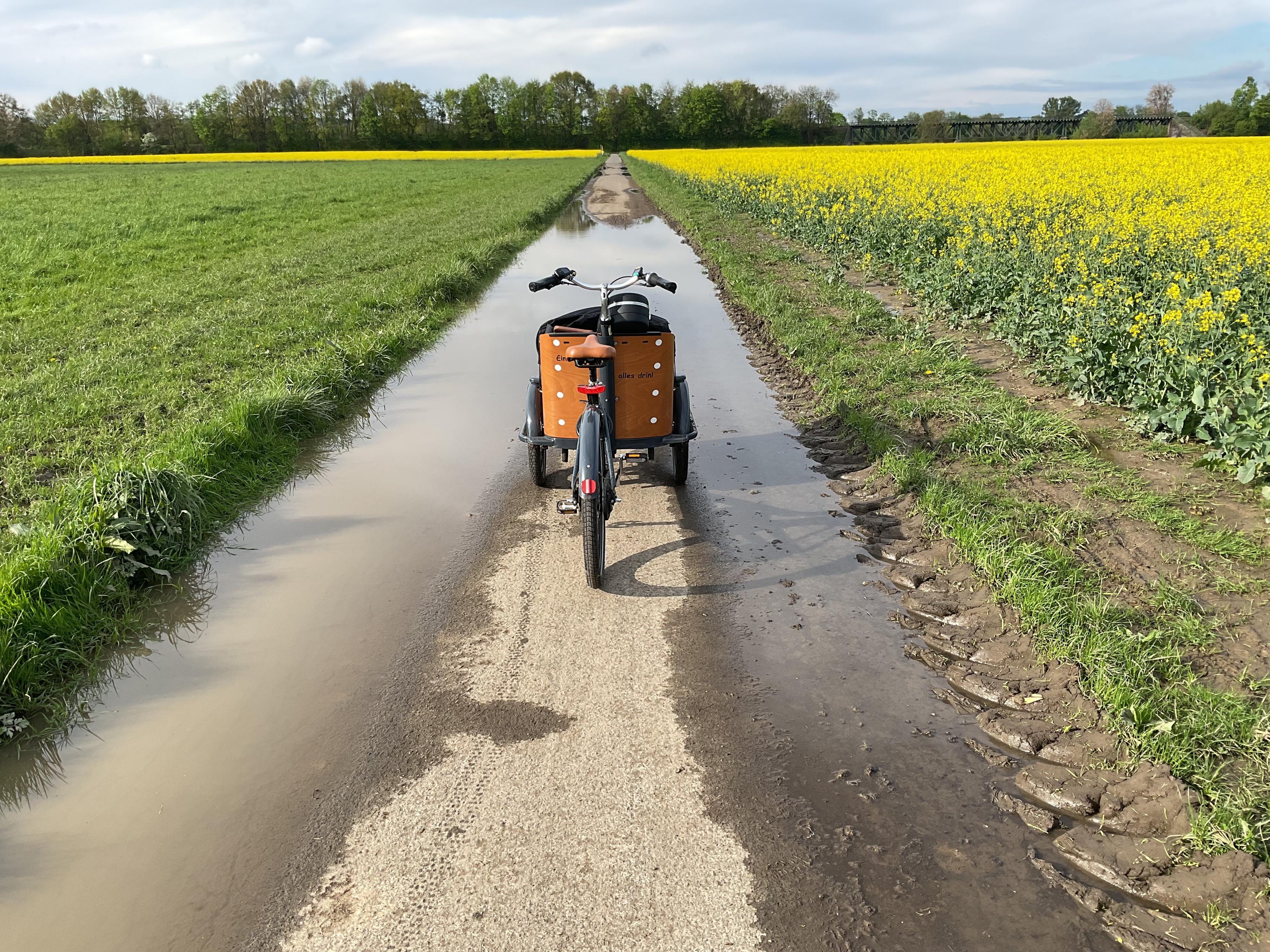 langer gerader weg der teilweise unter wasser steht … das lastendreirad hält vor einem großen see aus den regenfällen der letzten tage … links und rechts felder grün gelb mit raps … im hintergrund ein grünzug mit kleinen bäumen langer gerader weg der teilweise unter wasser steht … das lastendreirad hält vor einem großen see aus den regenfällen der letzten tage … links und rechts felder grün gelb mit raps … im hintergrund ein grünzug mit kleinen bäumen
