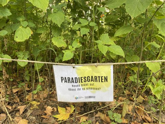 Foto eines Zettels: Paradiesgarten. Neues Bild könnt ihr es erkennen?
