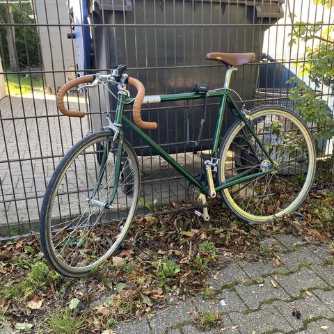 Ein grünes Fahrrad mit braunen Lenkergriffen und einem braunen Sitz ist an einen Metallzaun gelehnt, umgeben von abgefallenen Blättern. Im Hintergrund befindet sich eine Mülltonne.