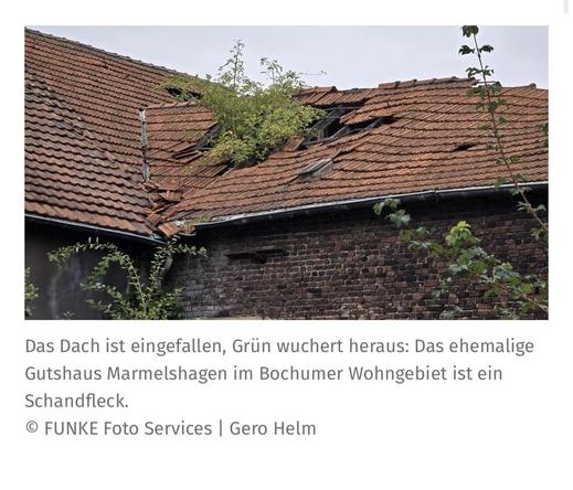 Gezeigt wird ein altes Gebäude mit einem beschädigten, teilweise eingestürzten Dach. Vegetation wächst durch die Öffnungen, was auf Verwahrlosung hindeutet. Das Bild verdeutlicht den verfallenden Zustand des ehemaligen Herrenhauses in Bochum.