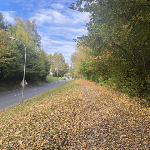 Ein malerischer Blick auf einen mit Herbstlaub bedeckten Weg entlang einer ruhigen Straße. Der Himmel ist teilweise bewölkt, und an den Bäumen ist leuchtendes Herbstlaub zu sehen.