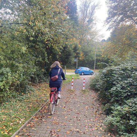 Eine Person fährt mit einem roten Fahrrad einen Weg entlang auf Poller zu, der von Bäumen mit Herbstlaub umgeben ist. Im Hintergrund ist ein blaues Auto in der Nähe eines Straßenschildes und einiger weißer und roter Absperrungen zu sehen. Blätter sind auf dem Boden verstreut.