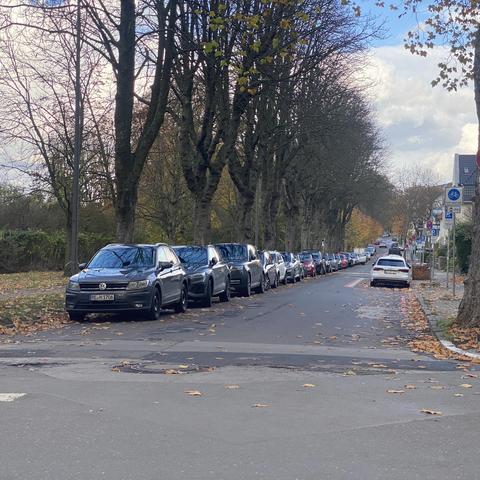 Eine von Bäumen gesäumte Straße mit geparkten Autos auf beiden Seiten, die eine bunte Mischung von Fahrzeugfarben zeigen. Herbstblätter bedecken den Boden, und am Himmel sind vereinzelte Wolken zu sehen.