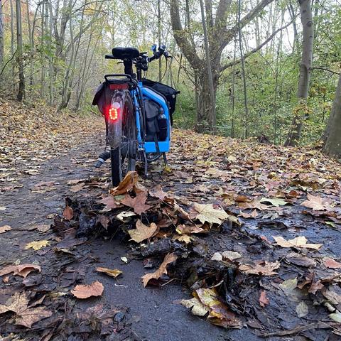 Ein Fahrrad auf einem mit Laub zu gedeckten Radweg. Vor dem Fahrrad ist ein Laubhaufen.