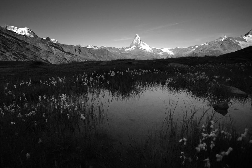 Kleiner Teich mit Blick auf das Matterhorn, Foto in schwarzweiß