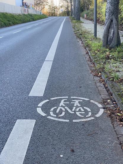 Ein Fahrradpiktogramm auf einer Straße bei der die Seitenlinie unterbrochen ist.  
Seitlich der Fahrbahn sind Bäume zu sehen. Links eine Betonwand. 