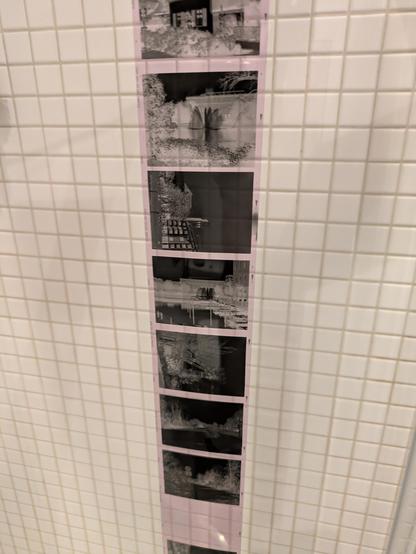 Posted media