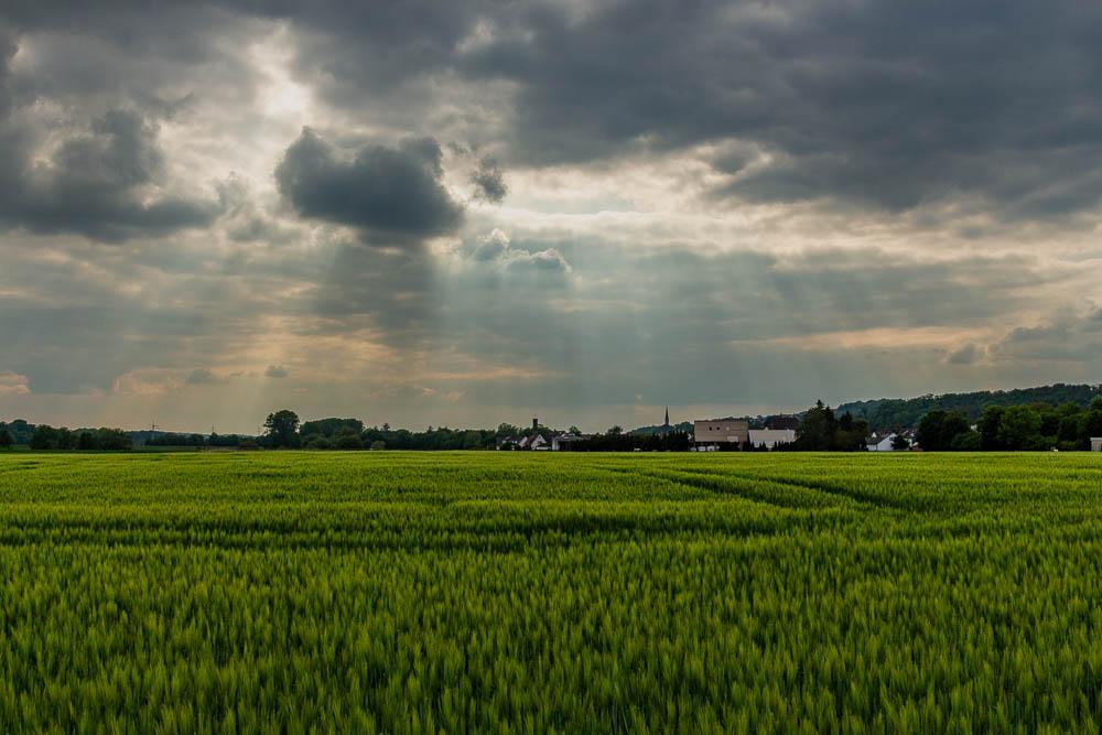 Eine Landschaft bei einem Abendspaziergang: Im Vordergrund ein grünes Getreidefeld, dahinter ein kleines Dorf und bewaldete Hügel. Durch die dichten Wolken brechen Sonnenstrahlen und tauchen die Landschaft in warmes Licht.