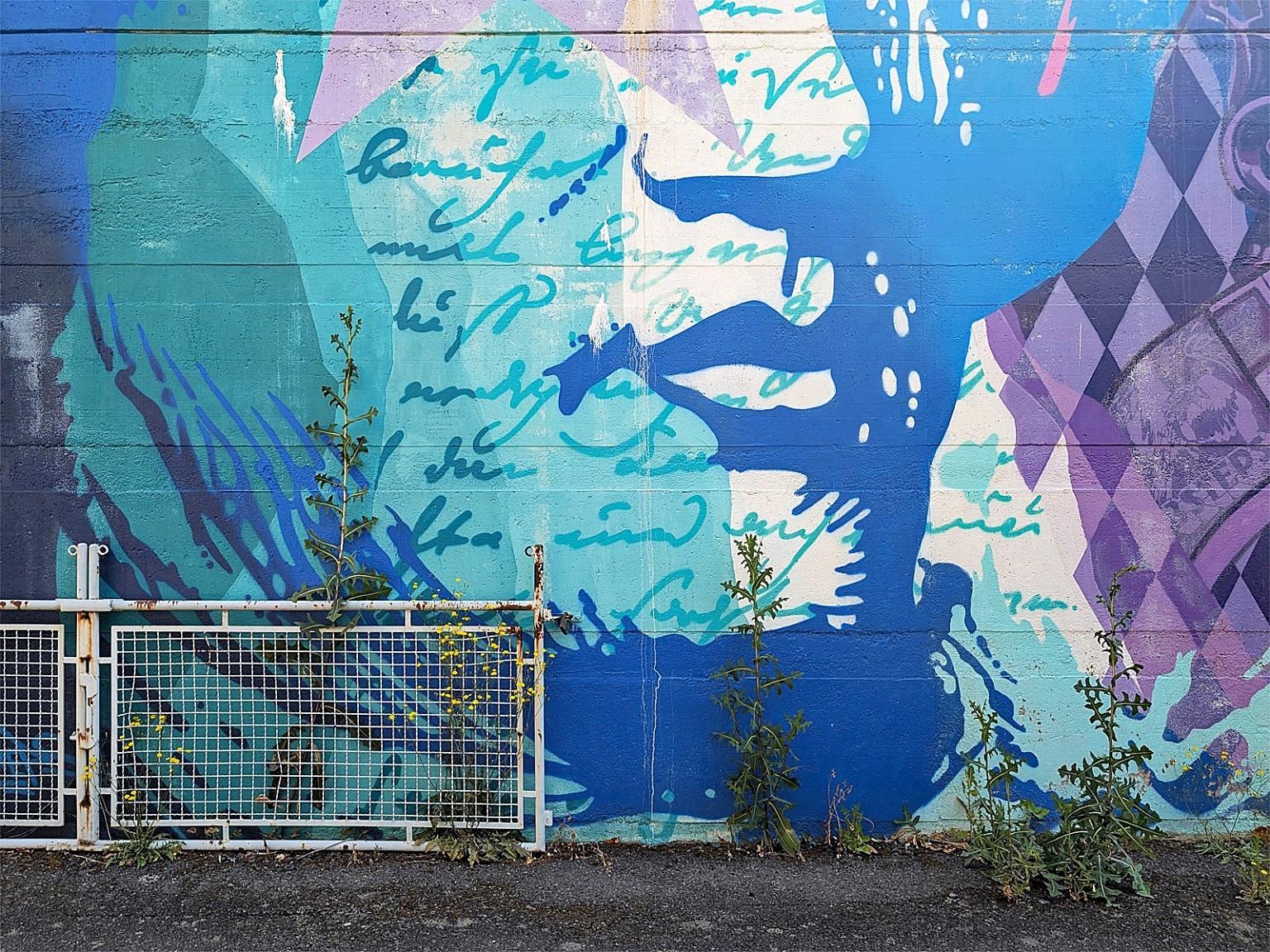 Große Wandmalerei auf einer Mauer 
Unten links zu einem Drittel ein niedriger weißer Metallzaun
Einzelne größere Unkrautpflanzen wachsen von unten in das Bild hinein. 
Vornehmlich in Weiß und Blau sind die Umrisse eines Gesichtes gezeichnet. Man sieht es bis unter die Augen. Auf der Wange ist altertümliche Schrift zu sehen.