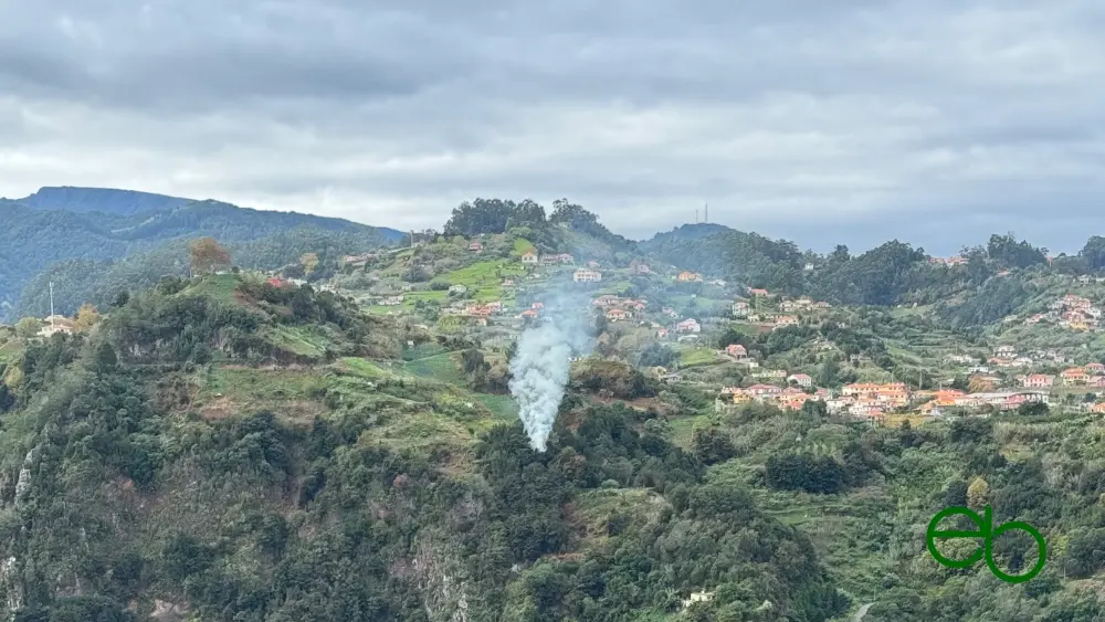 Rauchentwicklung in einem kleinen Waldstück auf Madeira - Smoke development inside a wood of Madeira